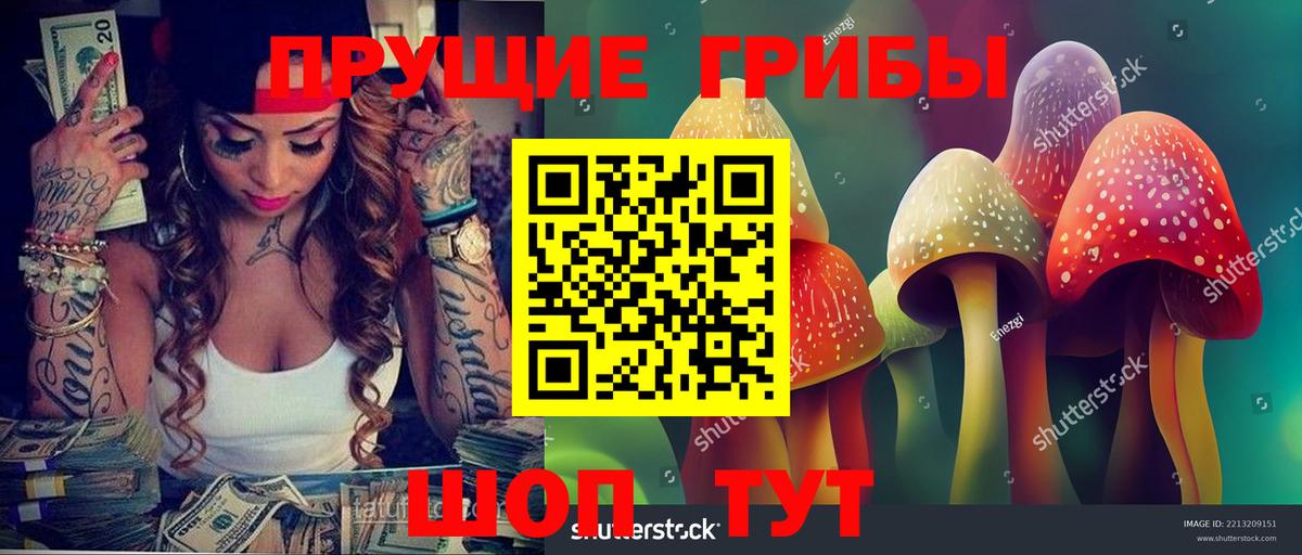 Белогорск  Псилоцибиновые грибы прущие грибы  Псилоцибиновые грибы ЛСД  Вход с VPN 